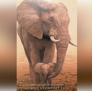 ❗ Tommy Hilfiger Spirit Crop Jeans Size 16